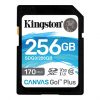 DG2U_Kingston 256GB_MASTER