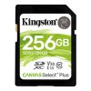 DG2U_Kingston 256GB_Master