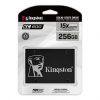 DG2U_Kingston 256GB_Package