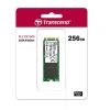 DG2u_TRANSCEND SATA III M.2 SSDs 600S_ 256GB