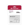 DG2u_Transcend’s SATA III SSD225S _ 250GB